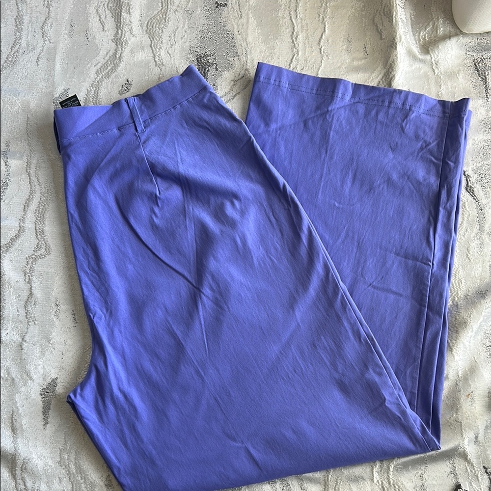 Ashley Stewart Women's Vibrant Blue Pants